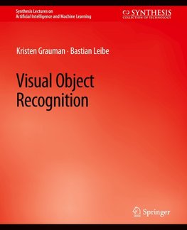 Visual Object Recognition