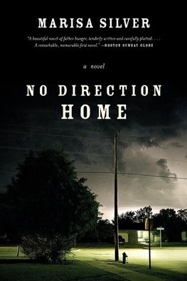 No Direction Home