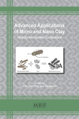 Advanced Applications of Micro and Nano Clay