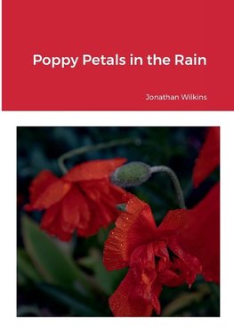 Poppy Petals in the Rain