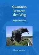 Guanacos kreuzen den Weg