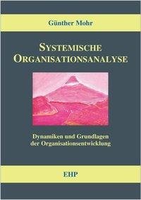 Systemische Organisationsanalyse