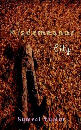 Misdemeanor City