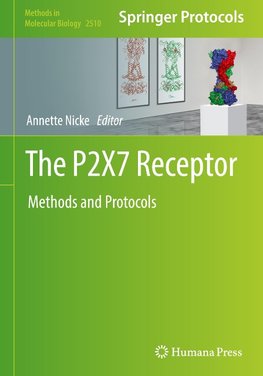 The P2X7 Receptor