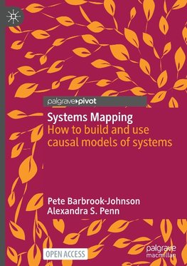 Systems Mapping