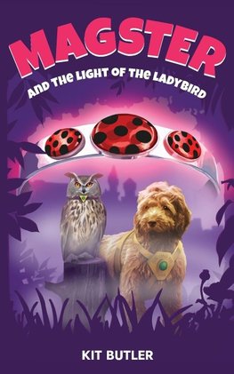 Magster and the Light of the Ladybird