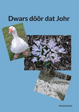 Dwars döör dat Johr