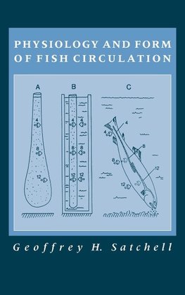 Physiology and Form of Fish Circulation