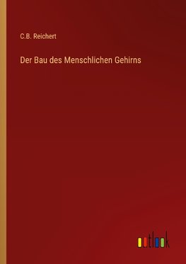 Der Bau des Menschlichen Gehirns