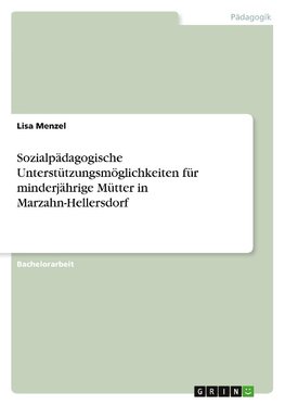 Sozialpädagogische Unterstützungsmöglichkeiten für minderjährige Mütter in Marzahn-Hellersdorf