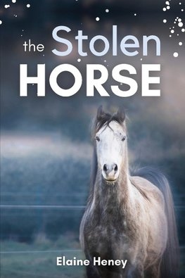 The Stolen Horse - Book 4 in the Connemara Horse Adventure Series for Kids | The Perfect Gift for Children age 8-12