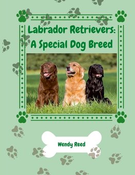 Labrador Retrievers