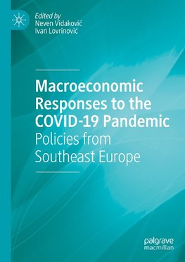 Macroeconomic Responses to the COVID-19 Pandemic