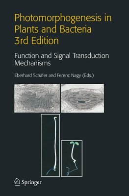 Photomorphogenesis in Plants and Bacteria