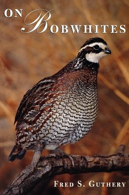 On Bobwhites