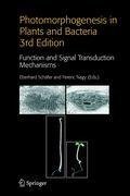 Photomorphogenesis in Plants and Bacteria