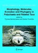 Morphology, Molecules, Evolution and Phylogeny in Polychaeta and Related Taxa