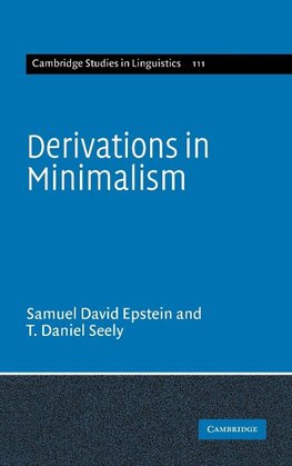 Derivations in Minimalism