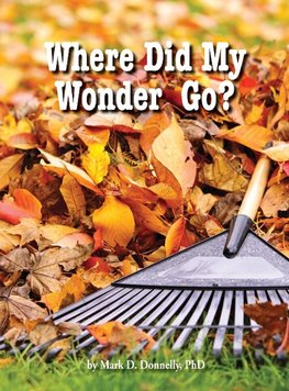 Where Did My Wonder Go?