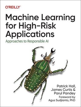 Machine Learning for High-Risk Applications