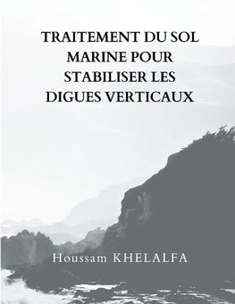 Traitement Du Sol Marine Pour Stabiliser Les Digues Verticaux