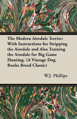 The Modern Airedale Terrier