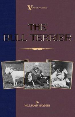 The Bull Terrier