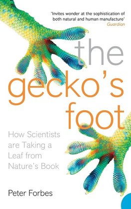 The Gecko's Foot