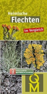 10er-Set: Heimische Flechten im Vergleich