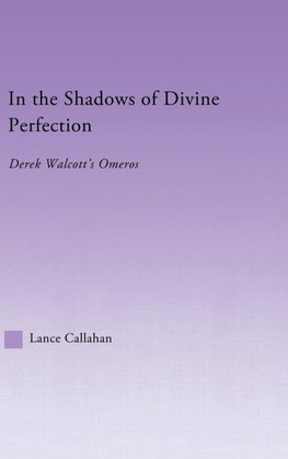 In the Shadows of Divine Perfection