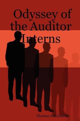 Odyssey of the Auditor Interns