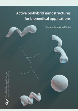 Active Biohybrid Nanostructures For Biomedical Applications