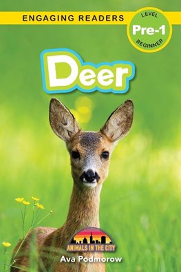 Deer