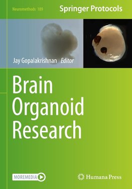 Brain Organoid Research