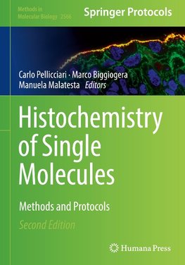 Histochemistry of Single Molecules