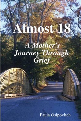 Almost 18 " A Mother's Journey Through Grief "