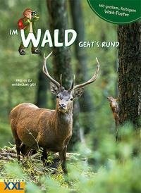 Im Wald geht's rund - mit großem farbigem Poster