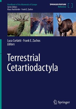 Terrestrial Cetartiodactyla