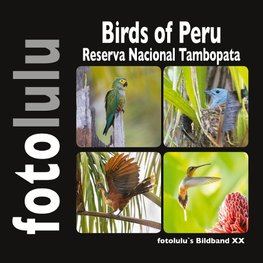 Birds of Peru