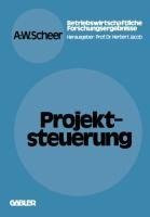 Projektsteuerung