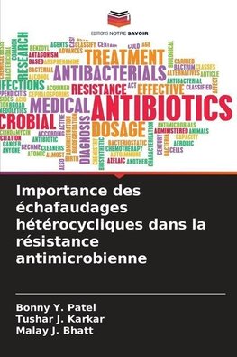 Importance des échafaudages hétérocycliques dans la résistance antimicrobienne