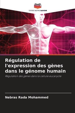 Régulation de l'expression des gènes dans le génome humain