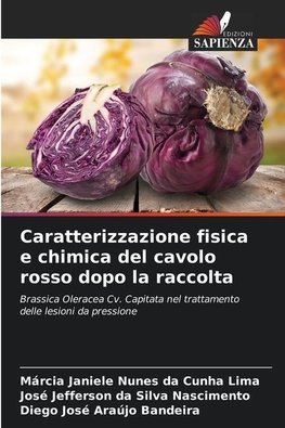 Caratterizzazione fisica e chimica del cavolo rosso dopo la raccolta