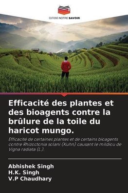 Efficacité des plantes et des bioagents contre la brûlure de la toile du haricot mungo.