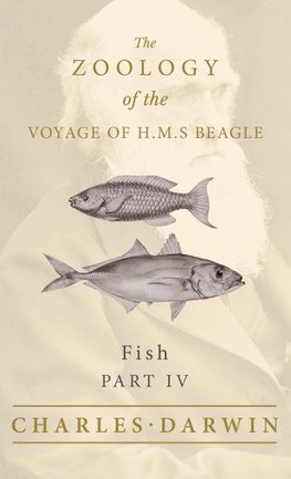 Fish - Part IV - The Zoology of the Voyage of H.M.S Beagle