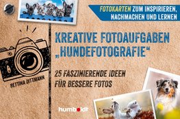 Fotokarten. Kreative Fotoaufgaben "Hundefotografie"