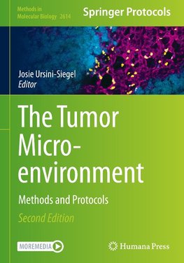 The Tumor Microenvironment