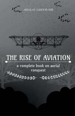 The Rise of Aviation