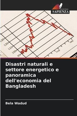 Disastri naturali e settore energetico e panoramica dell'economia del Bangladesh