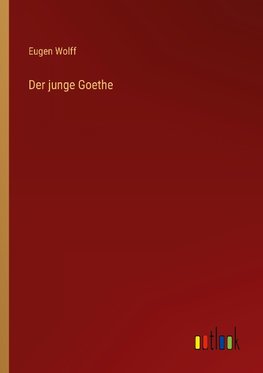 Der junge Goethe